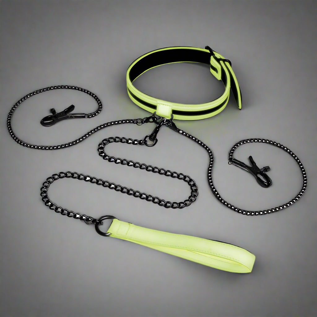WhipSmart Glow In The Dark Collar with Nipple Clips & Leash